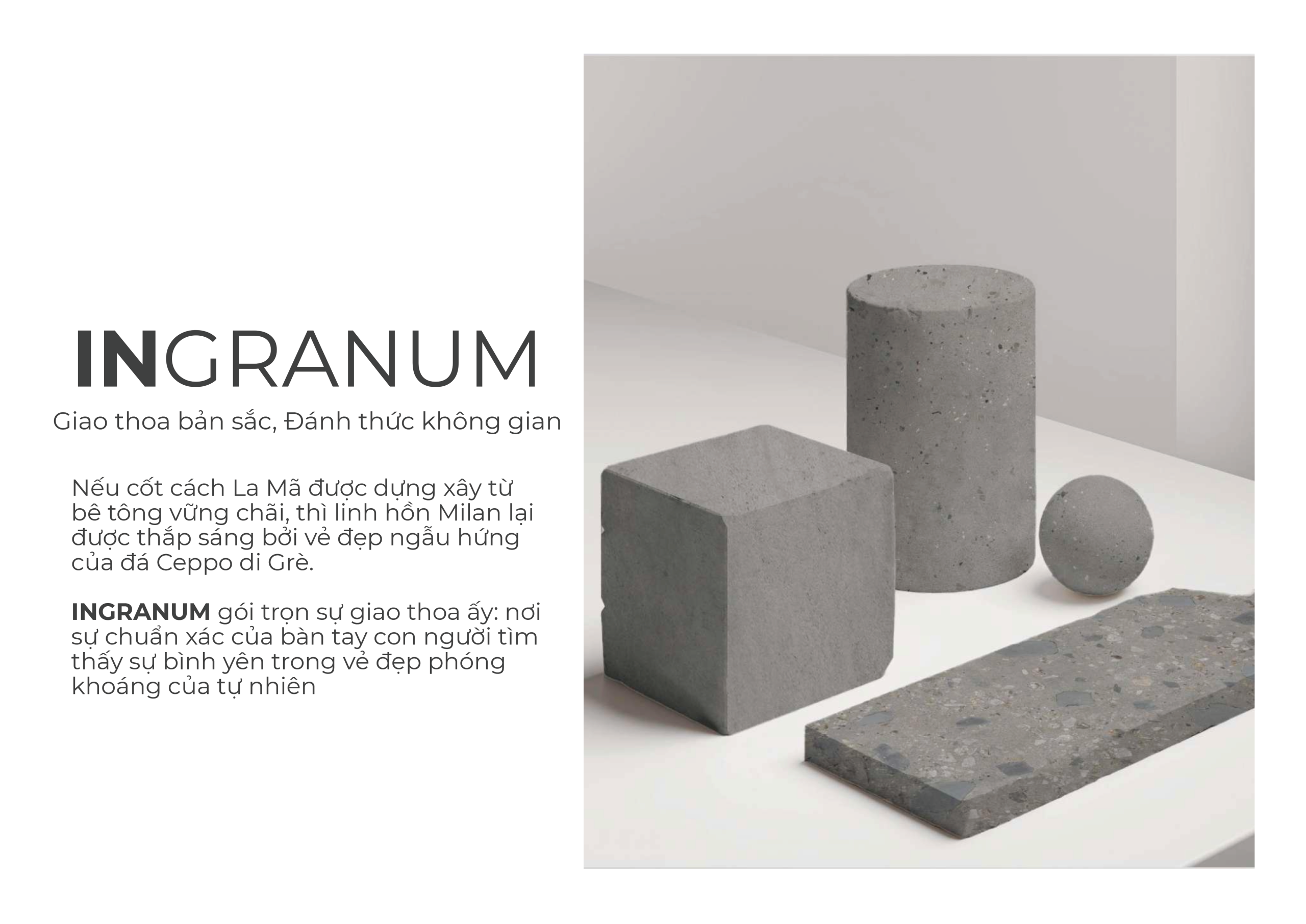 BROCHURE INGRANUM VIE FINAL-3