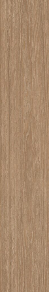 Beige Oak
